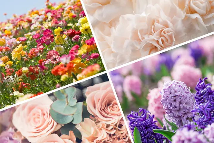 nội thất đẹp bình hoa nội thất đẹp bình hoa