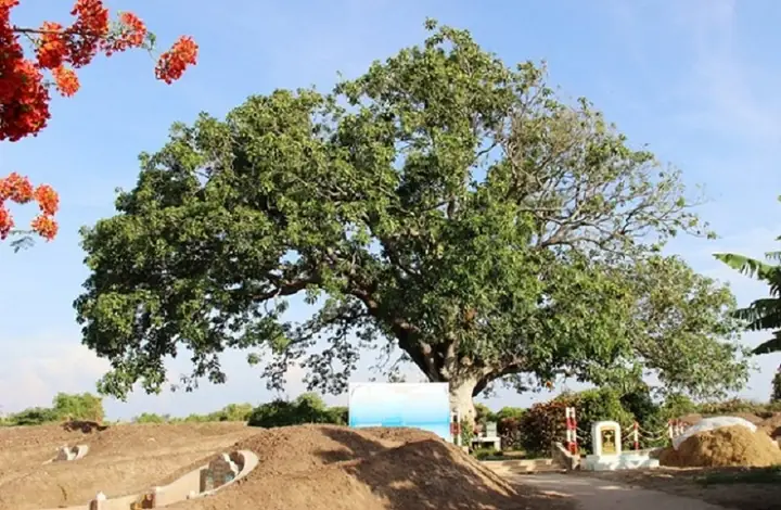 2 Đặc Điểm Sinh Thái 2 Đặc Điểm Sinh Thái