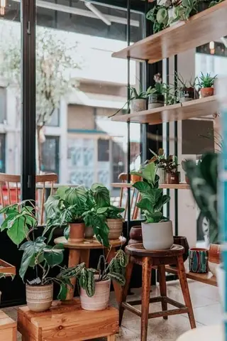 GREEN STYLE - HÓA XANH MỌI NƠI TRONG NHÀ