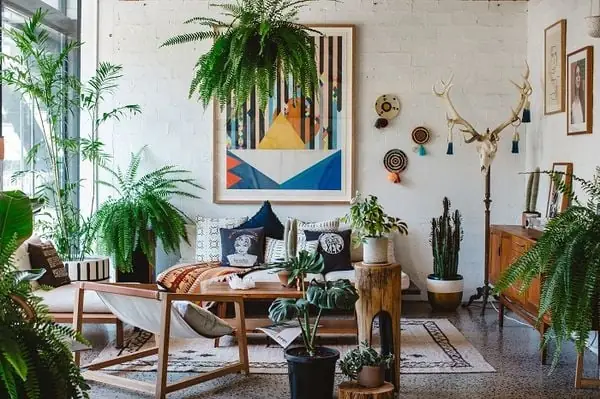Phong Cách Nội Thất Độc Đáo Với Cây Xanh Trong Nhà