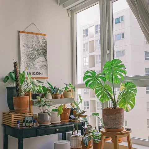 RUSTIC STYLE - MANG THIÊN NHIÊN VÀO NHÀ