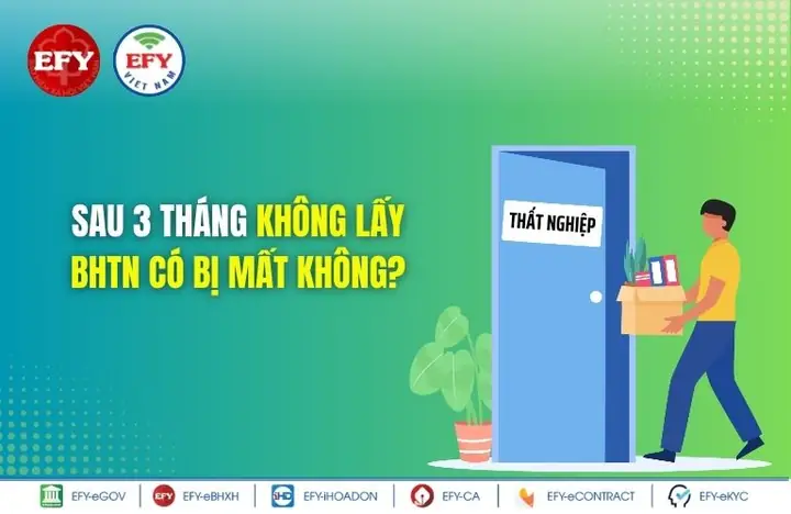 Nội Thất Gia Bảo Linh