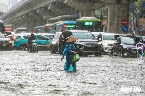 Nội Thất Gỗ Hồng Yichang: Tìm Hiểu Về Giá Trị Và Đặc Điểm Nổi Bật
