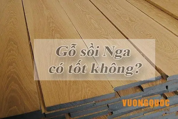2.3. Váº­y, Gá» Sá»i Nga Cã³ Tá»t Khã´ng?