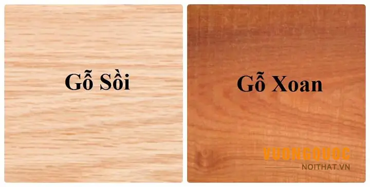 6.1. Gá» Sá»i Vã Gá» Xoan Äã O Gá» Nã O Tá»t Hæ¡n? 6.1. Gá» Sá»i Vã Gá» Xoan Äã O Gá» Nã O Tá»t Hæ¡n?