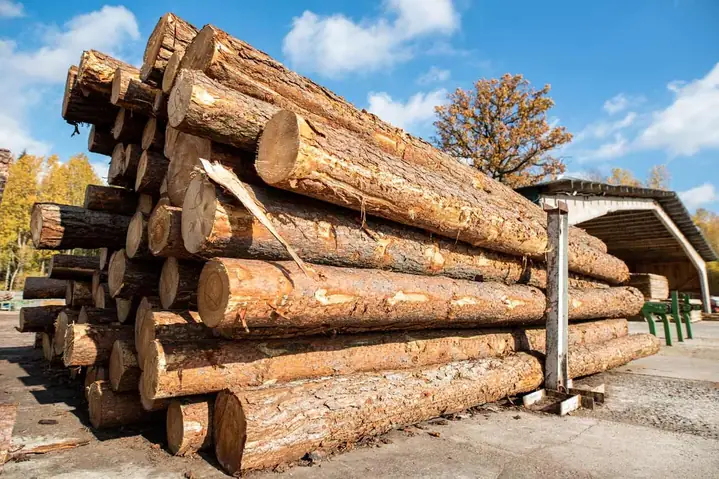 Tìm Hiểu Về Gỗ Tự Nhiên Tìm Hiểu Về Gỗ Tự Nhiên
