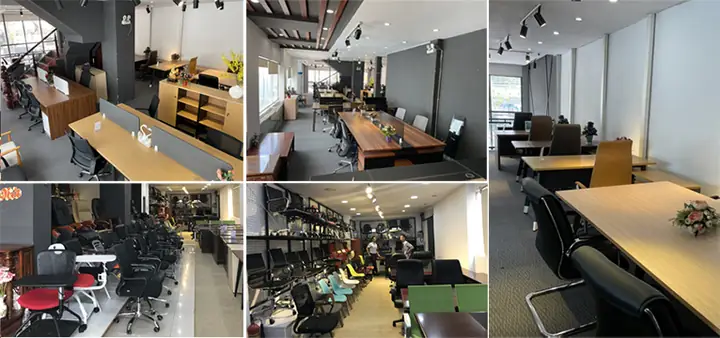 Mẫu Mã Đa Dạng, Thiết Kế Hiện Đại