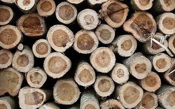 Nội Thất Hoàng Anh Gia Lai Có Gì Đặc Biệt Nội Thất Hoàng Anh Gia Lai Có Gì Đặc Biệt