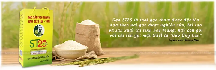 Nguồn Gốc Và Xuất Xứ Củagạo St25 Nguồn Gốc Và Xuất Xứ Củagạo St25