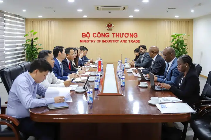 Thứ Trưởng Nguyễn Hoàng Long Tiếp Và Làm Việc Với Bộ Trưởng Công Thương Và Cạnh Tranh Nam Phi