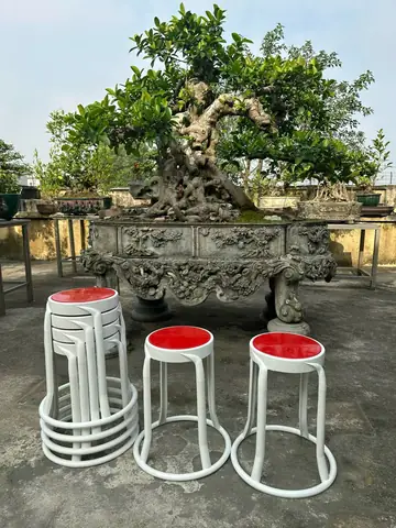 Thæ¯ Viá»n Hãnh Áº¢nh