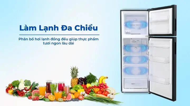 Làm Lạnh Đa Chiều, Phân Bổ Hơi Lạnh Đồng Đều Cho Thực Phẩm Luôn Tươi Ngon