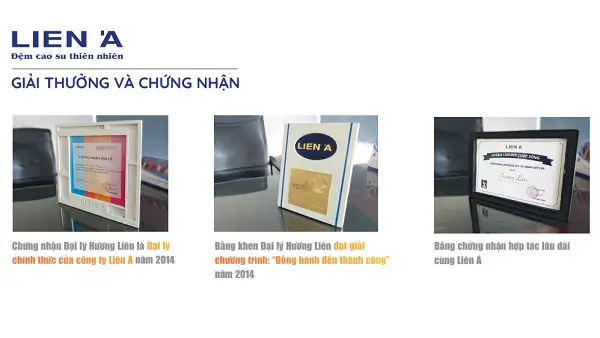 Nội Thất Lê Chinh Nguyễn Trãi Nội Thất Lê Chinh Nguyễn Trãi
