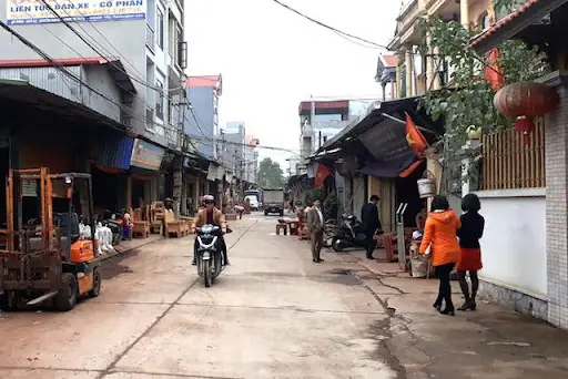 Mang Lại Thu Nhập Cao Cho Người Dân: