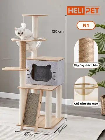Đặc Điểm Nổi Bật Đặc Điểm Nổi Bật