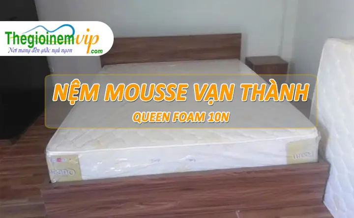 Nệm mouse Vạn Thành có những sản phẩm nào?