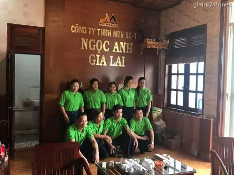Đánh Giá Chi Tiết Nội Thất Ngọc Anh Gia Lai: Có Nên Lựa Chọn? Đánh Giá Chi Tiết Nội Thất Ngọc Anh Gia Lai: Có Nên Lựa Chọn?