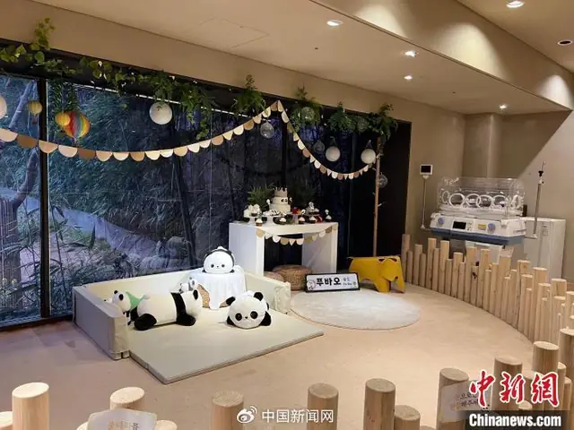 Biến Hóa Không Gian Sống Với Phong Cách "we Bare Bears": Ý Tưởng Nội Thất Độc Đáo Biến Hóa Không Gian Sống Với Phong Cách "we Bare Bears": Ý Tưởng Nội Thất Độc Đáo