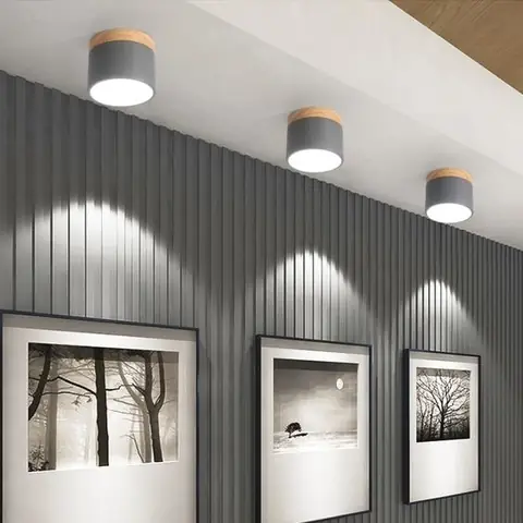 C. ĐÈN ĐIỂM NHẤN (ACCENT LIGHTING)