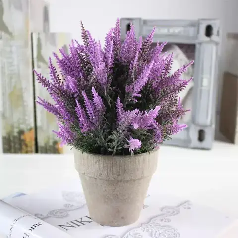 3.Những loại cây nên trồng trong phòng ngủ 3.Những loại cây nên trồng trong phòng ngủ