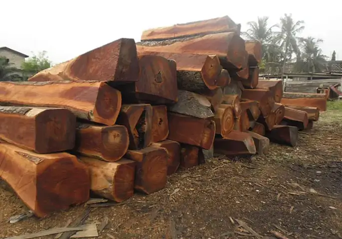 1. Gỗ lim là gỗ gì?