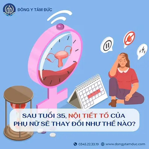 Nội thất Tam Hòa tuyển dụng: Thông tin và cơ hội mới nhất Nội thất Tam Hòa tuyển dụng: Thông tin và cơ hội mới nhất