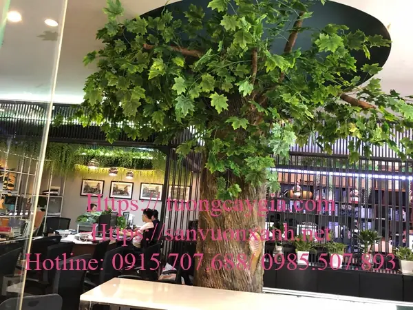 Chi Tiết Sản Phẩm