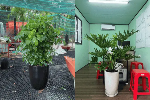 Nội Thất Thuận Phát Quận 2: Đánh Giá Chi Tiết Từ A Đến Z