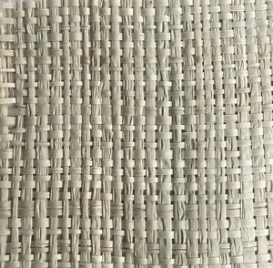 Giáº¥y Dã¡n Tæ°á»ng Sá»£i Raffia