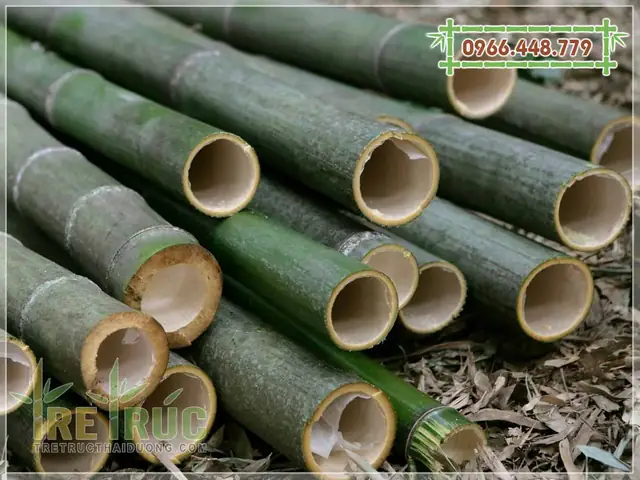 Giá bán tre nứa tại TPHCM