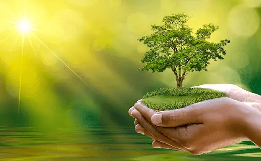 4.Ý nghĩa về môi trường và sức khỏe 4.Ý nghĩa về môi trường và sức khỏe