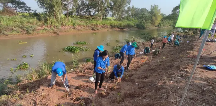 nội thất tự phục vụ tứ hưng