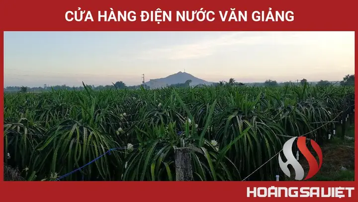 ✅ Cửa Hàng Điện Nước Văn Giảng. ✅ Cửa Hàng Điện Nước Văn Giảng.