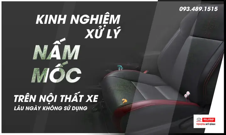 Kinh nghiệm xử lý nấm, mốc trên nội thất xe lâu ngày không sử dụng