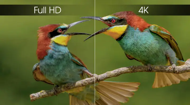 Độ phân giải 4K sắc nét gấp 4 lần Full HD