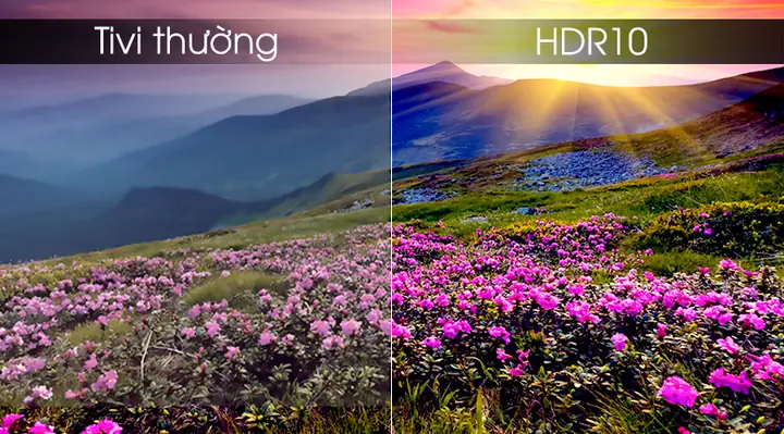 Công nghệ HDR10 mang đến độ tương phản cao, màu sắc nổi bật, rực rỡ hơn