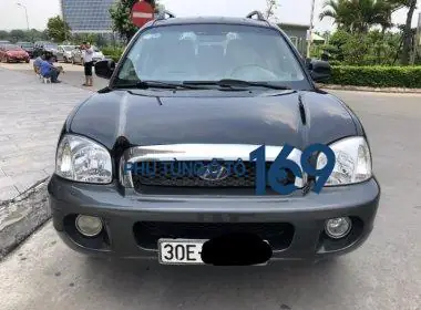 Hyundai Santafe Gold 2005