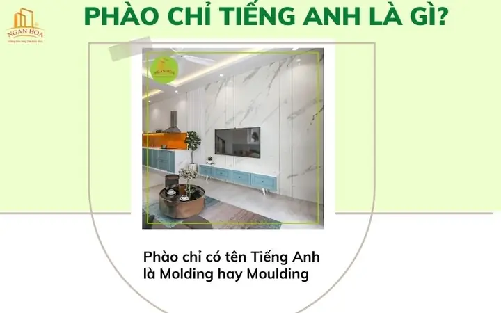 Phào Chỉ Tường Tiếng Anh Là Gì?