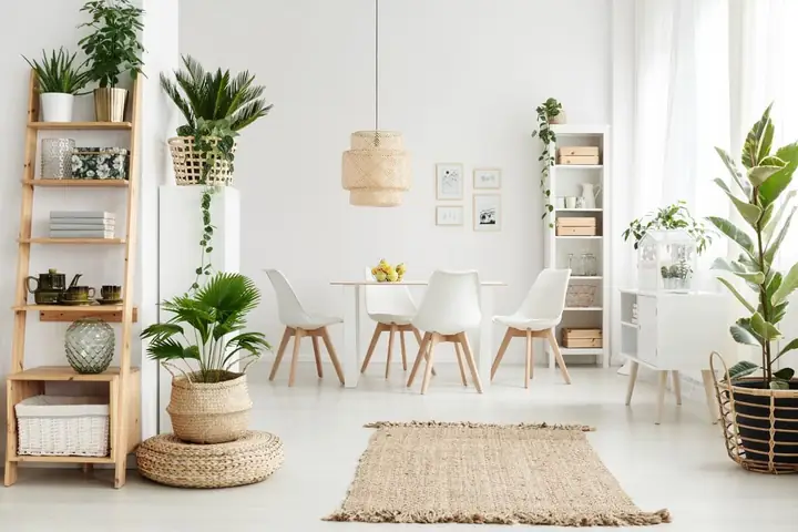 2.4. Các Yếu Tố Trang Trí 2.4. Các Yếu Tố Trang Trí