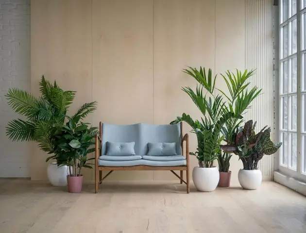2.2. Sử dụng cây cảnh làm vật trang trí