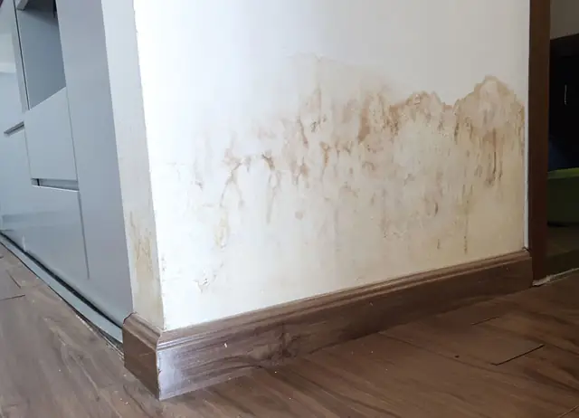 20+ Sự cố sơn tường nhà thường gặp: Nguyên nhân và cách khắc phục
