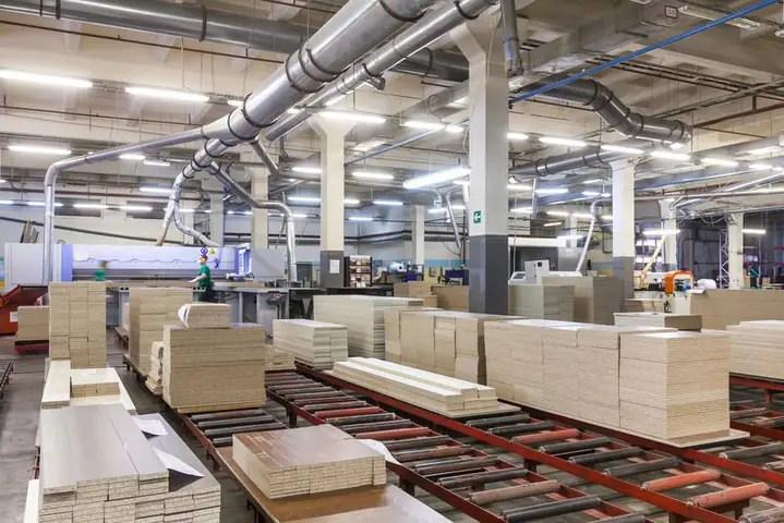 Các loại gỗ bị cấm xuất khẩu