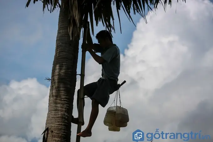 Nghề nấu đường thốt nốt: Công nghệ nấu đường