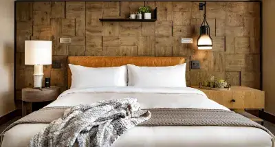 San Shield Nội Thất 5 Lít: Đánh Giá Chi Tiết Từ Chuyên Gia