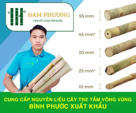 Cơ Sở TRE TầM VÃNG ĐÃM PHươNG