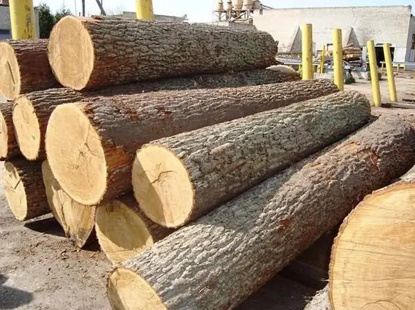 1. Giới Thiệu Về Gỗ Cao Su