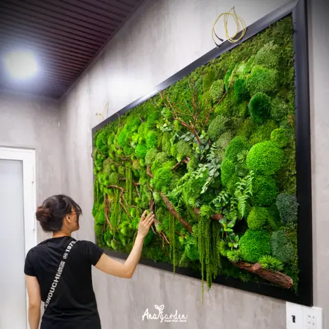 showroom cây xanh nội thất showroom cây xanh nội thất