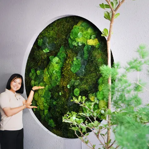 showroom cây xanh nội thất showroom cây xanh nội thất
