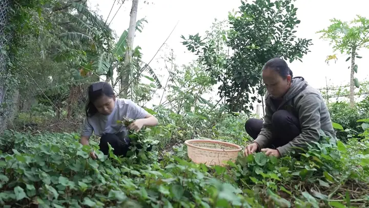 Mái Ấm Gia Đình Việt: Phạm Đình Thái Ngân Và Thanh Thủy Phá Lệ, Tặng Thêm Logo Tiền Thưởng Cho Bé Gái Mồ Côi