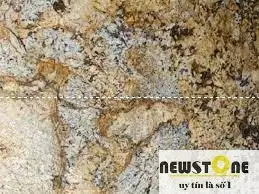 Đá Hoa Cương Granite Golden Forest Brazil